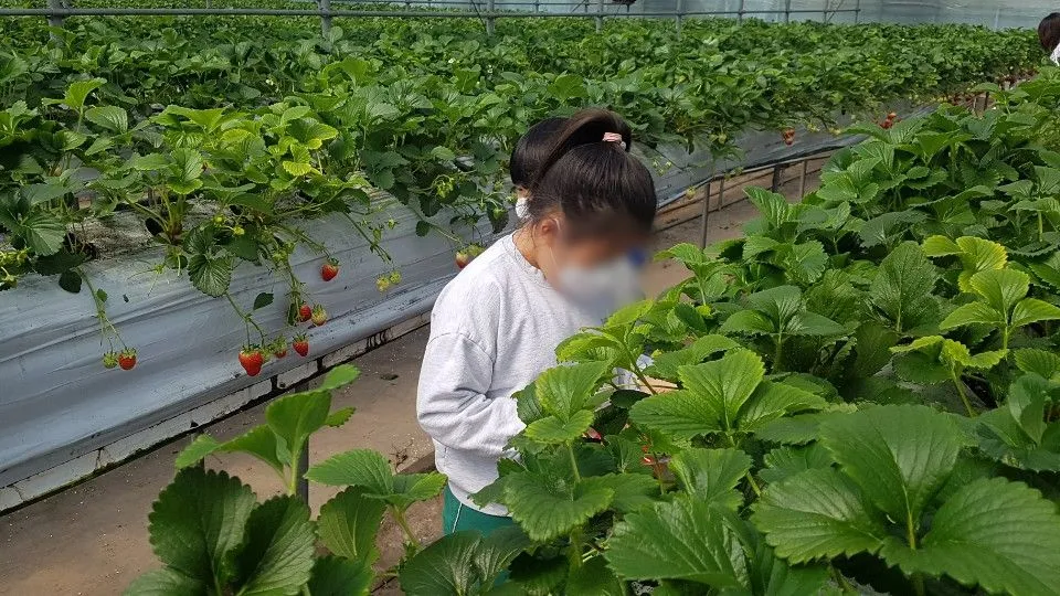 저지마을