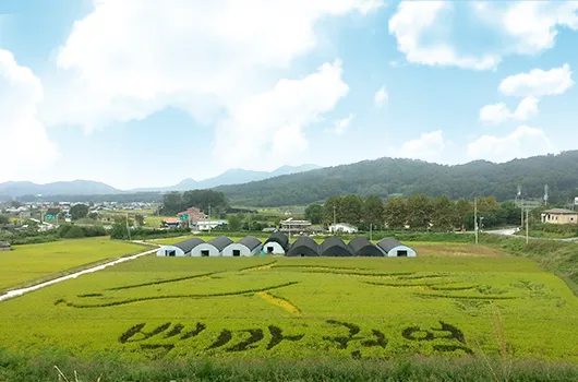 백마권역마을 사진 8
