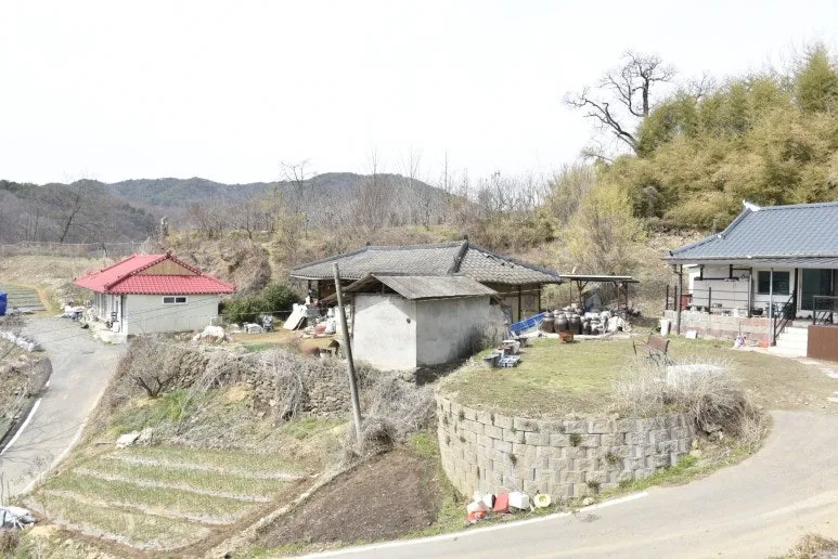 초록감투마을 사진 6