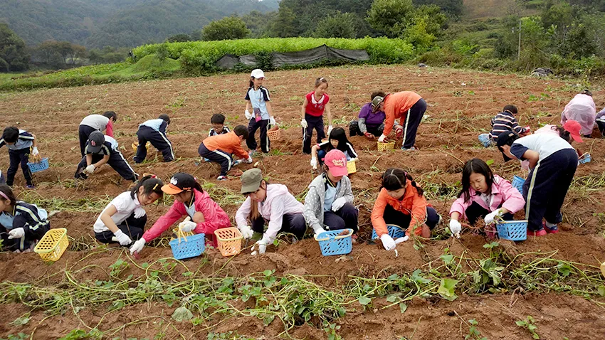 장수마을