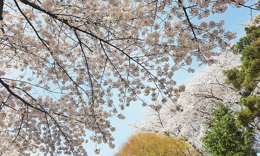 장수마을 사진 8