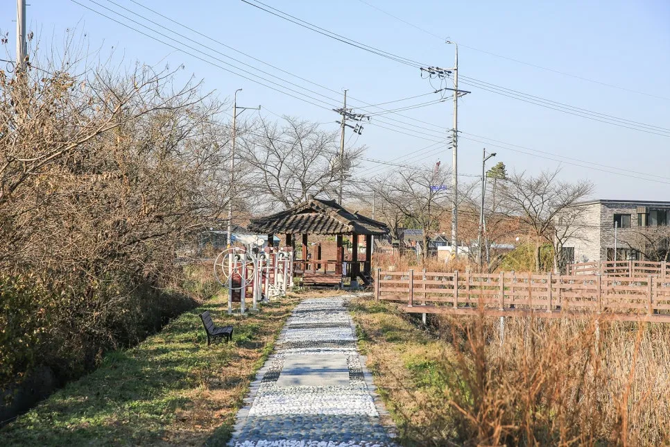 강내연꽃마을 사진 6