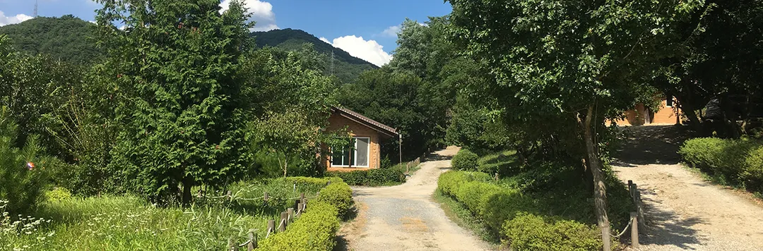 산채건강마을 사진 8