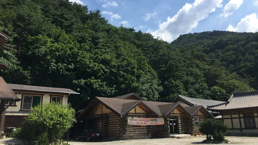 산채건강마을 사진 10
