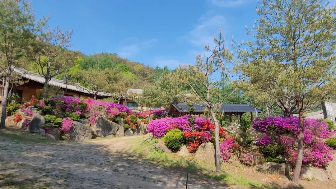 사랑산농촌체험휴양마을