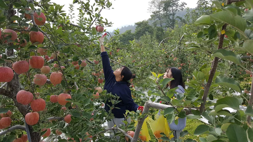 삼기조아유마을