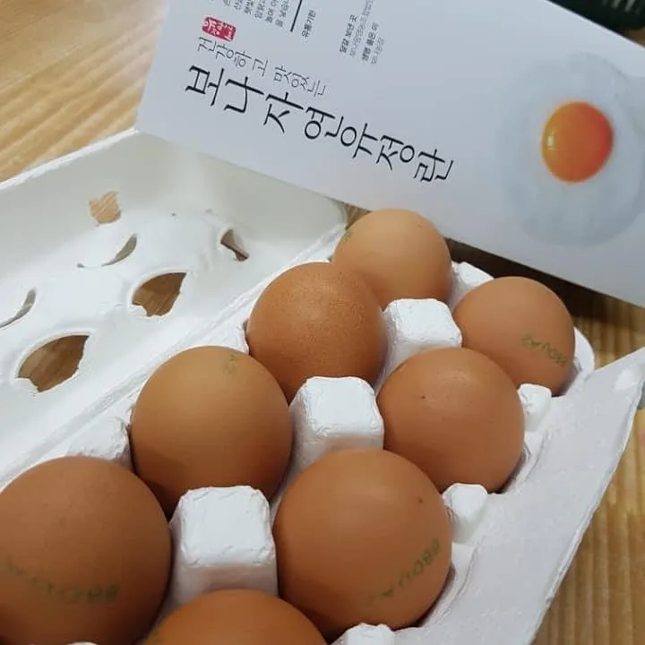 두메마을 사진 6