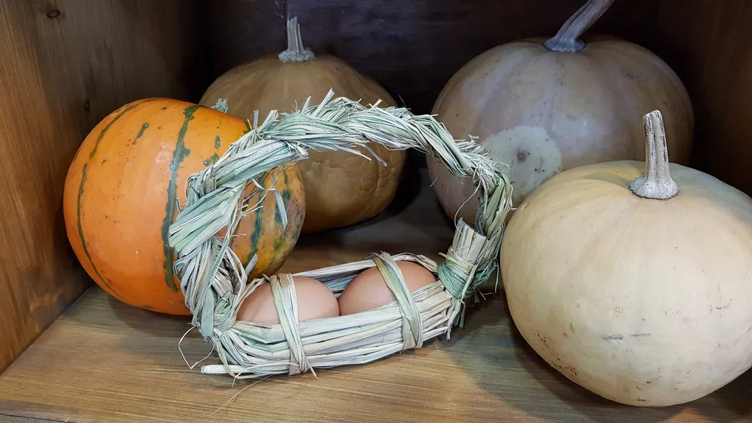 두메마을