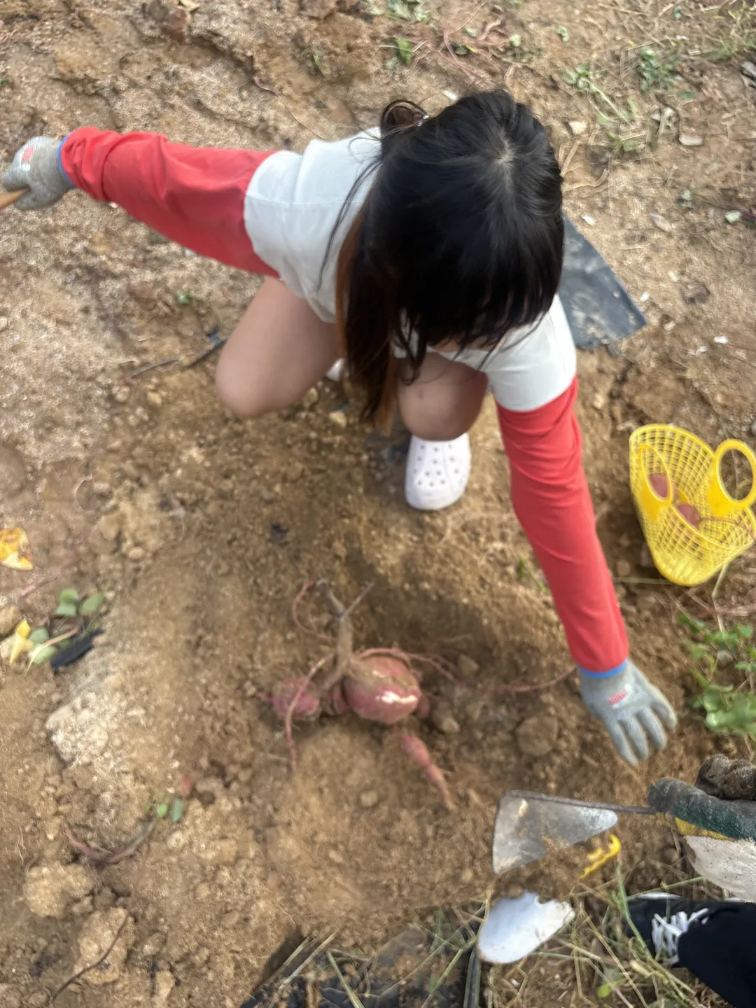 미미림 농업회사법인 사진 7