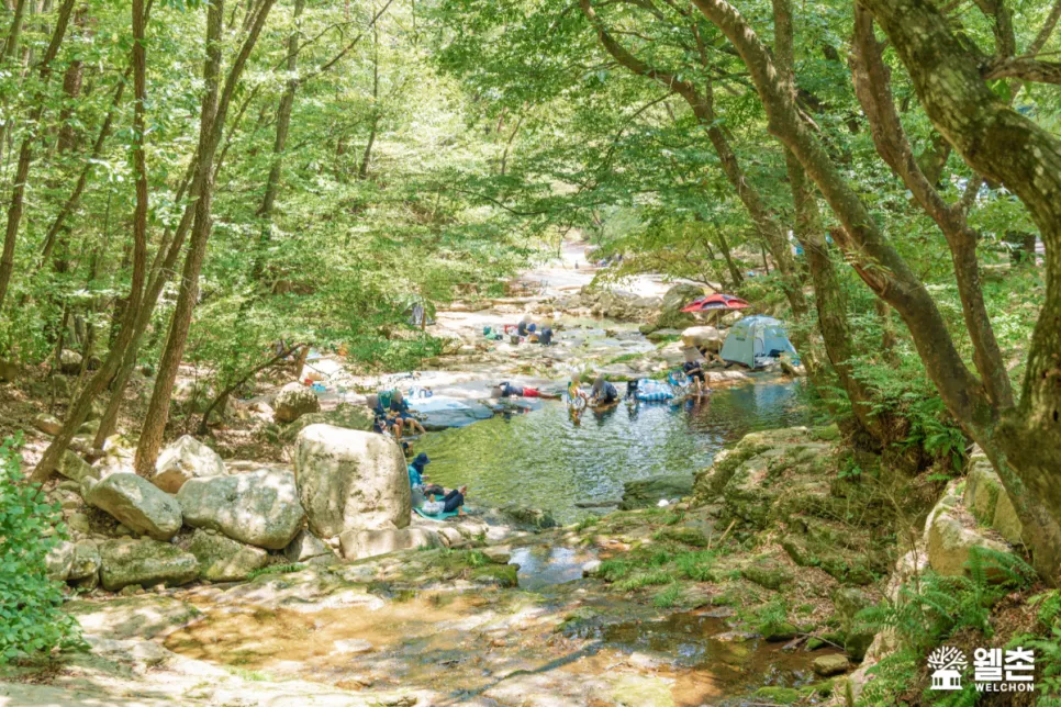 가정농촌체험휴양마을 사진 6