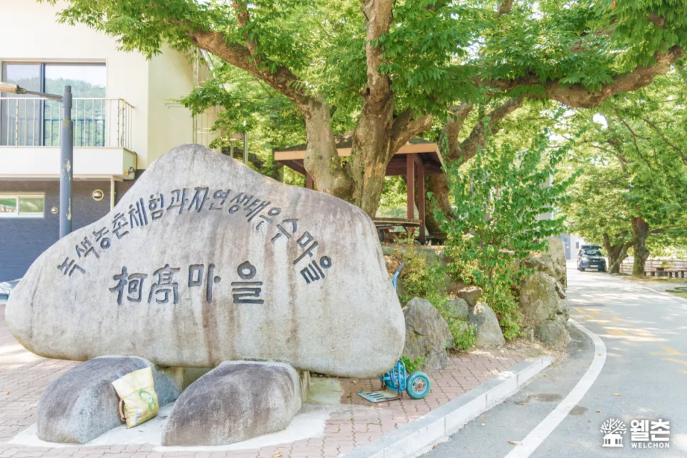 가정농촌체험휴양마을 사진 8