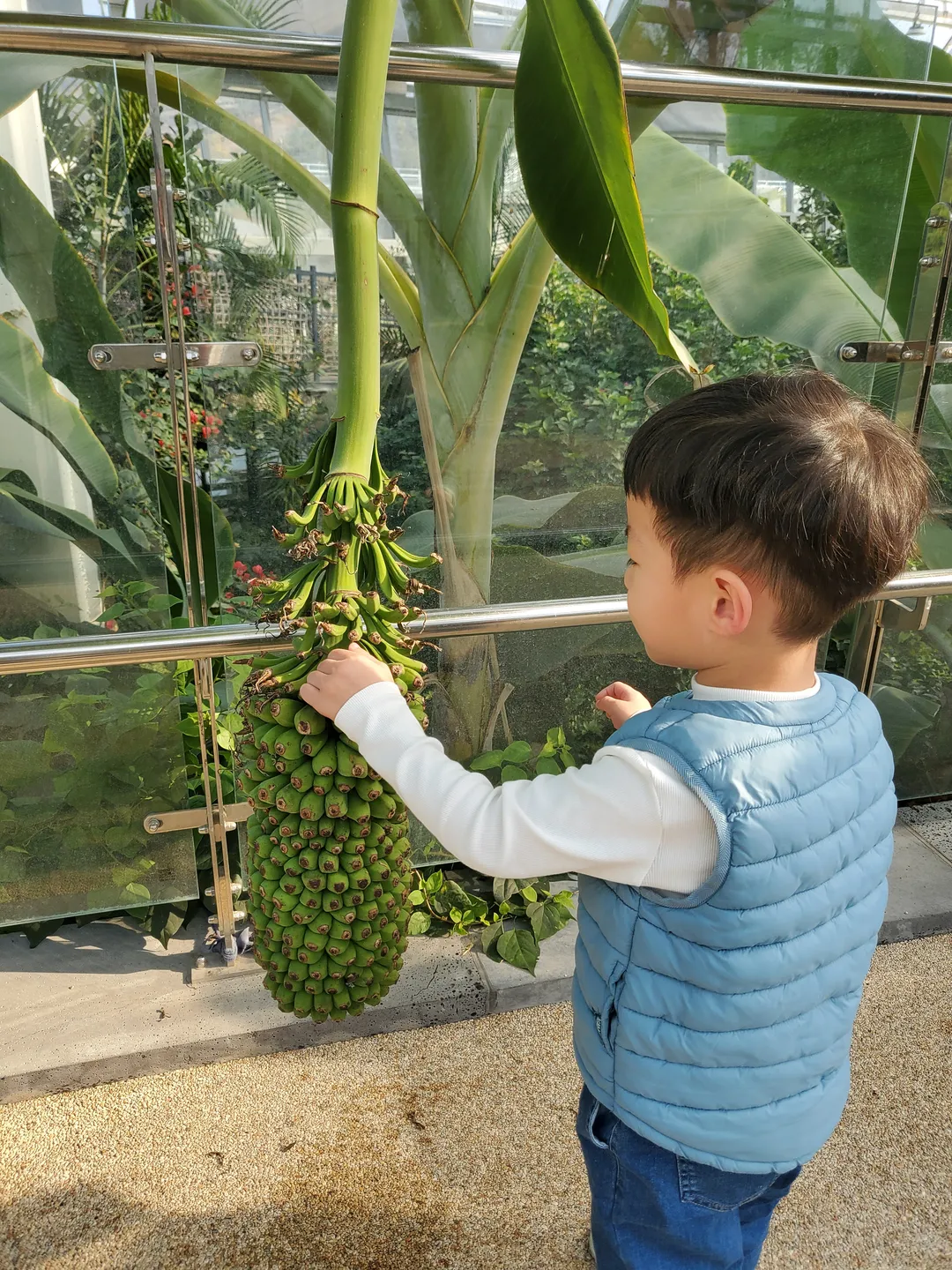 과일나라테마공원