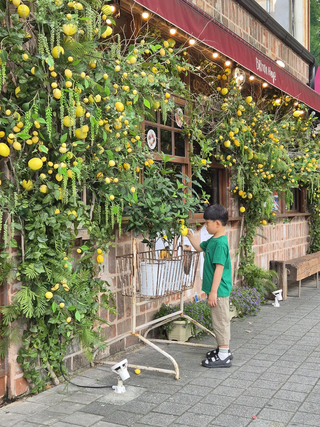 브리튼헨지 수성못본점