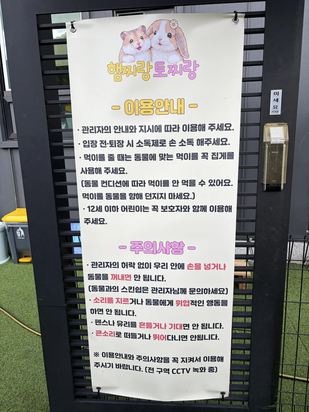 햄찌랑토찌랑 동물체험카페 사진 12
