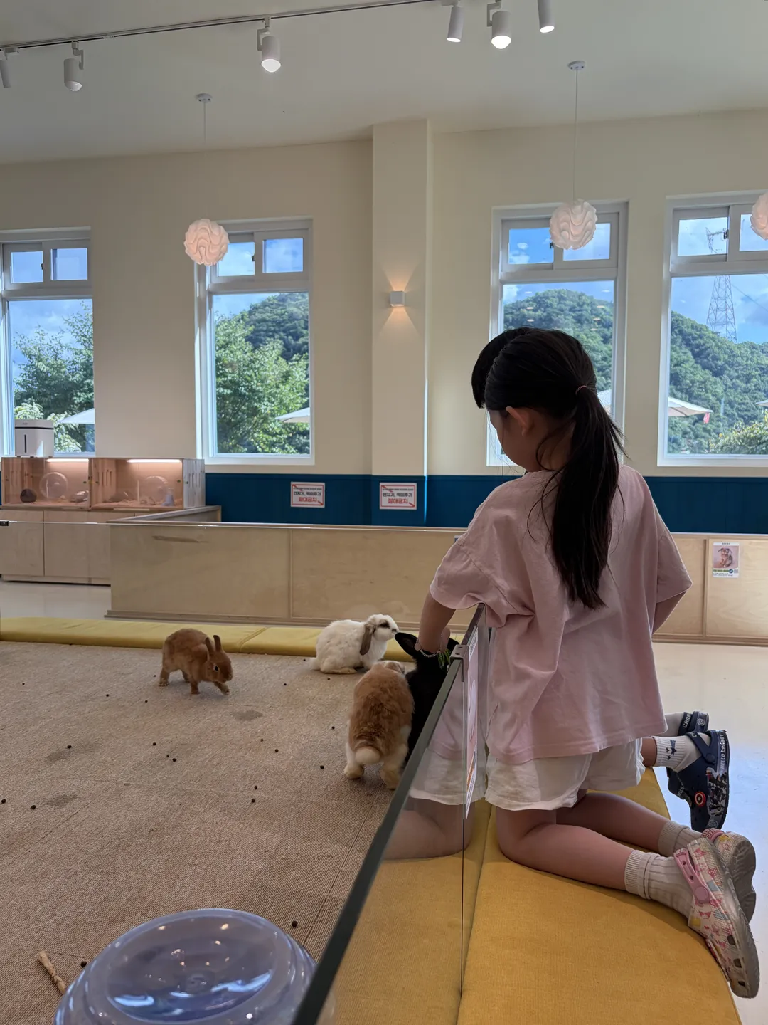 햄찌랑토찌랑 동물체험카페