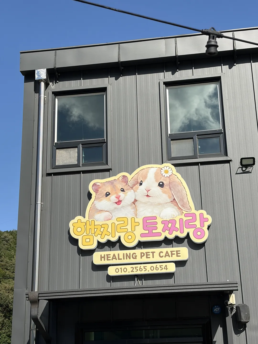 햄찌랑토찌랑 동물체험카페 사진 13