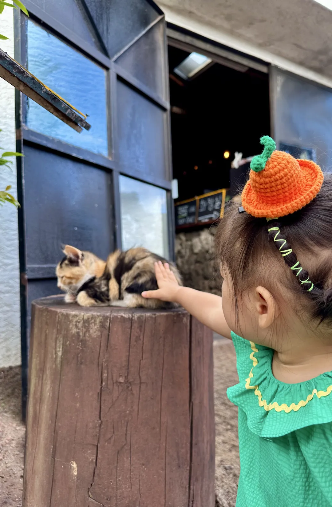 オリヌァンジャカムギュルバッ 写真 19