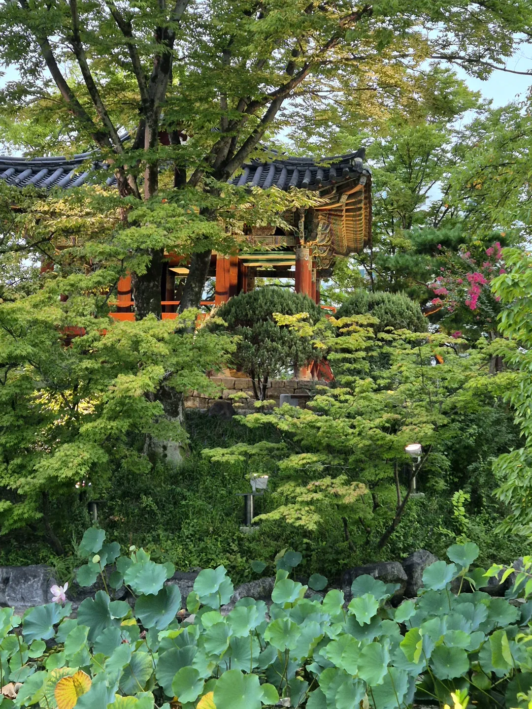 둥지톳밥