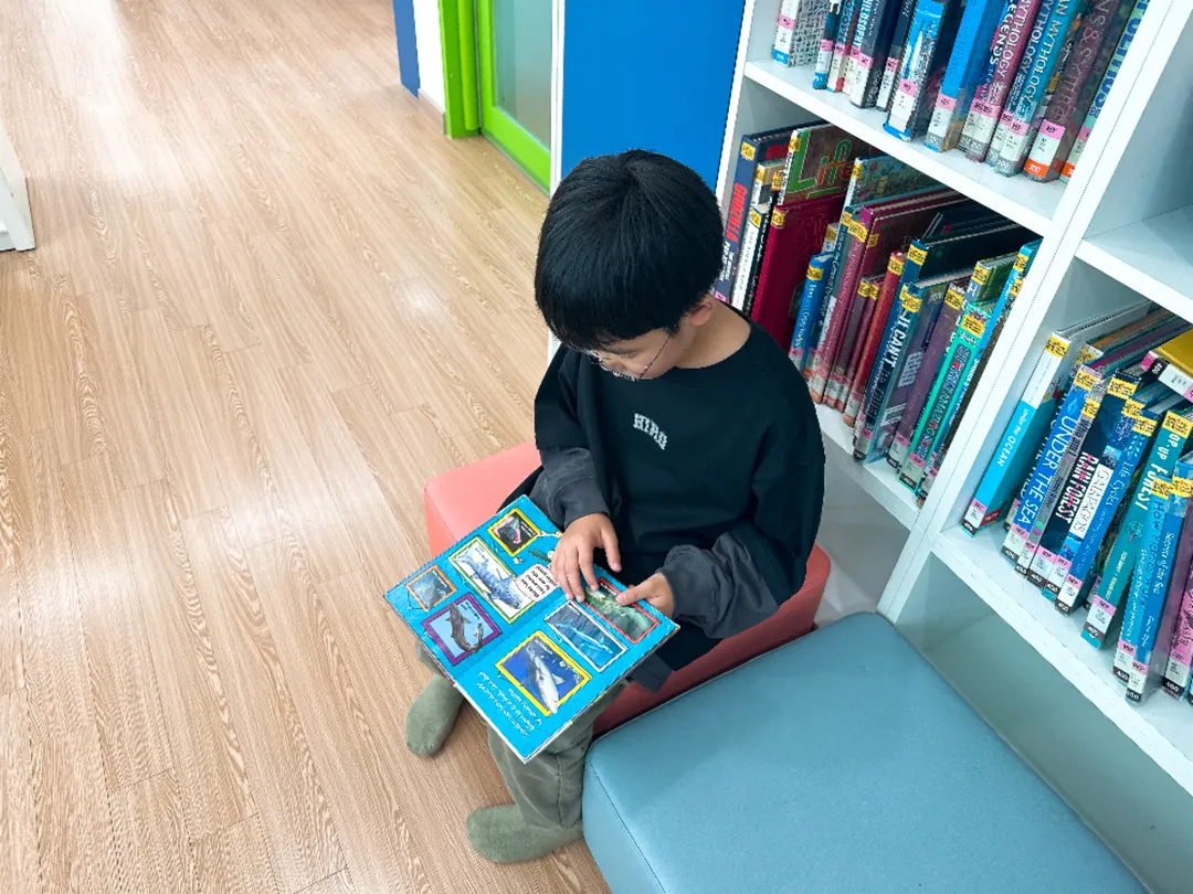 송파어린이영어도서관 사진 8