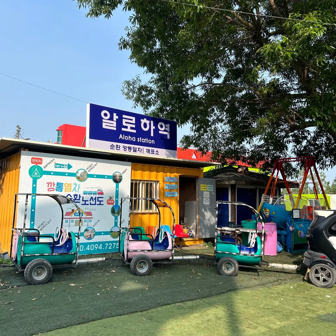 함초당&알로하피크닉