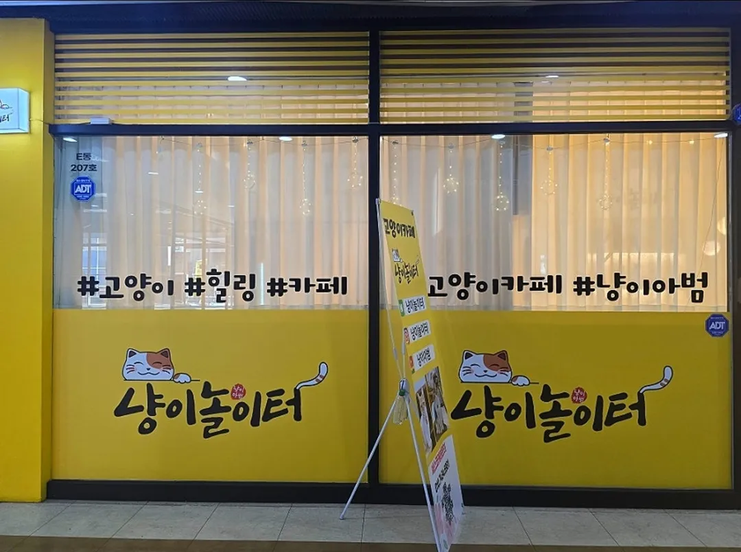 냥이놀이터 사진 17