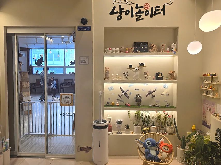 냥이놀이터 사진 16