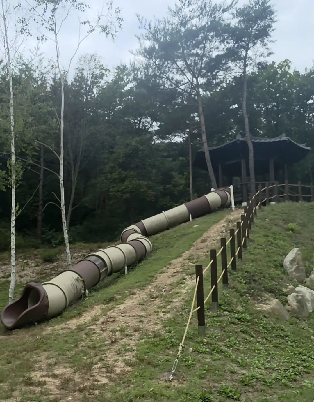 국립춘천숲체원  사진 9