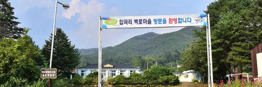 백로마을 사진 7