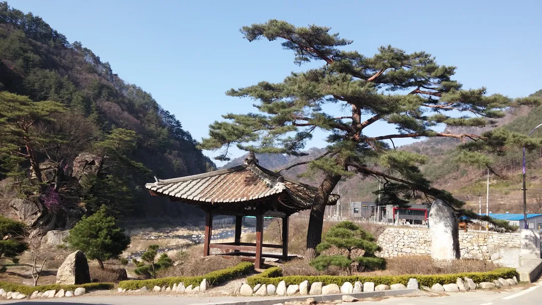 봉황마을 사진 7