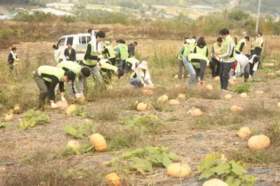배두둑마을