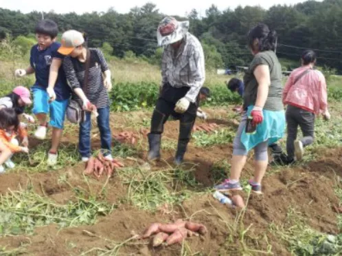 밤두둑마을