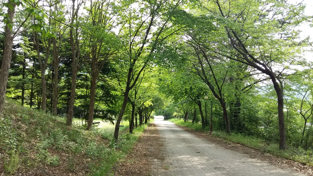 덕고마을 사진 9