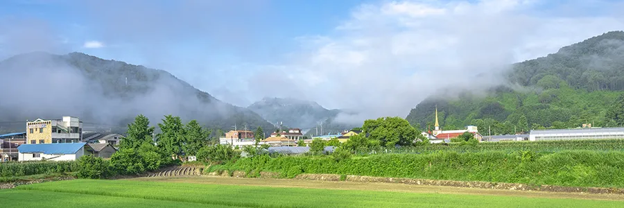 삼송마을 사진 10