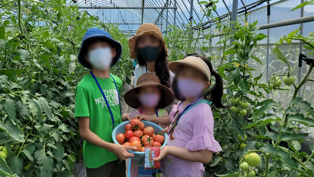 요선마을 사진 7
