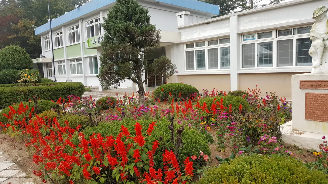 삽당령고송마을 사진 6