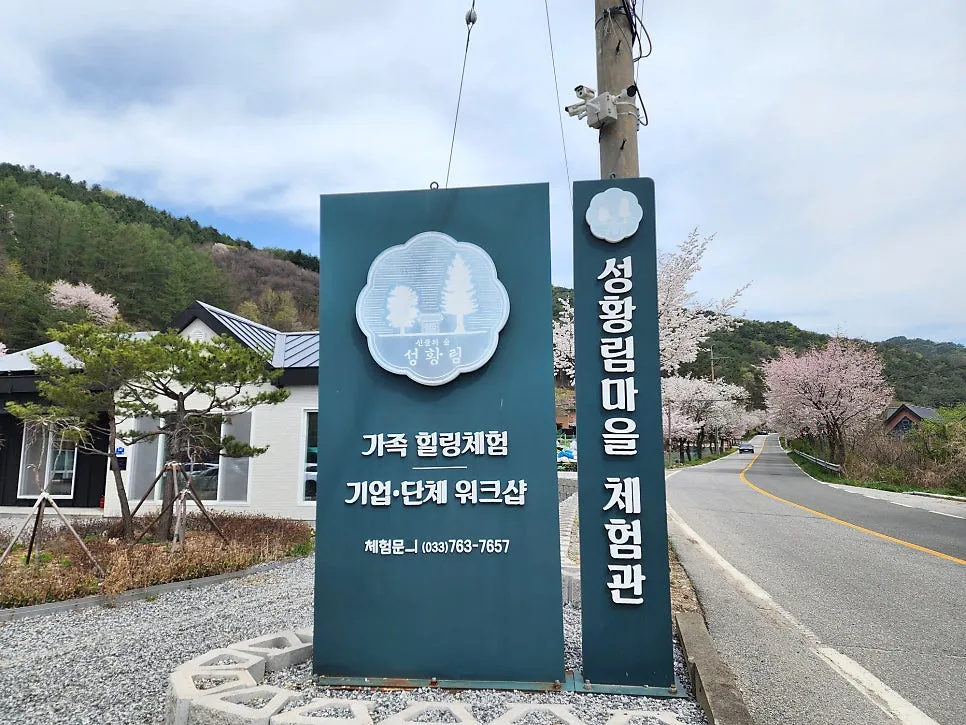 성황림마을 사진 9