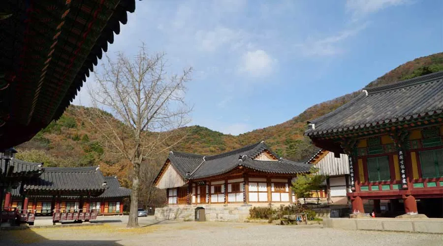상사화피는마을
