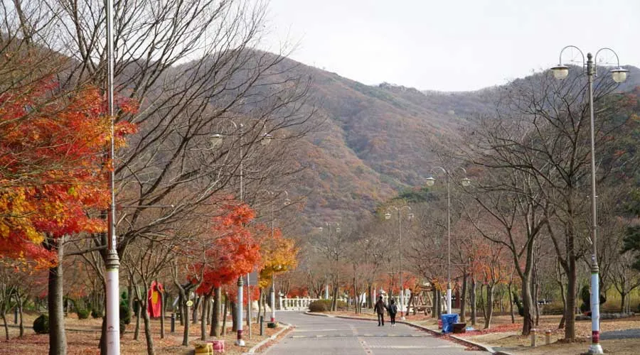 상사화피는마을