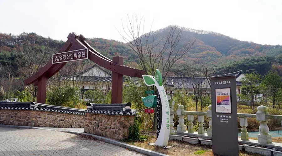 상사화피는마을 사진 6
