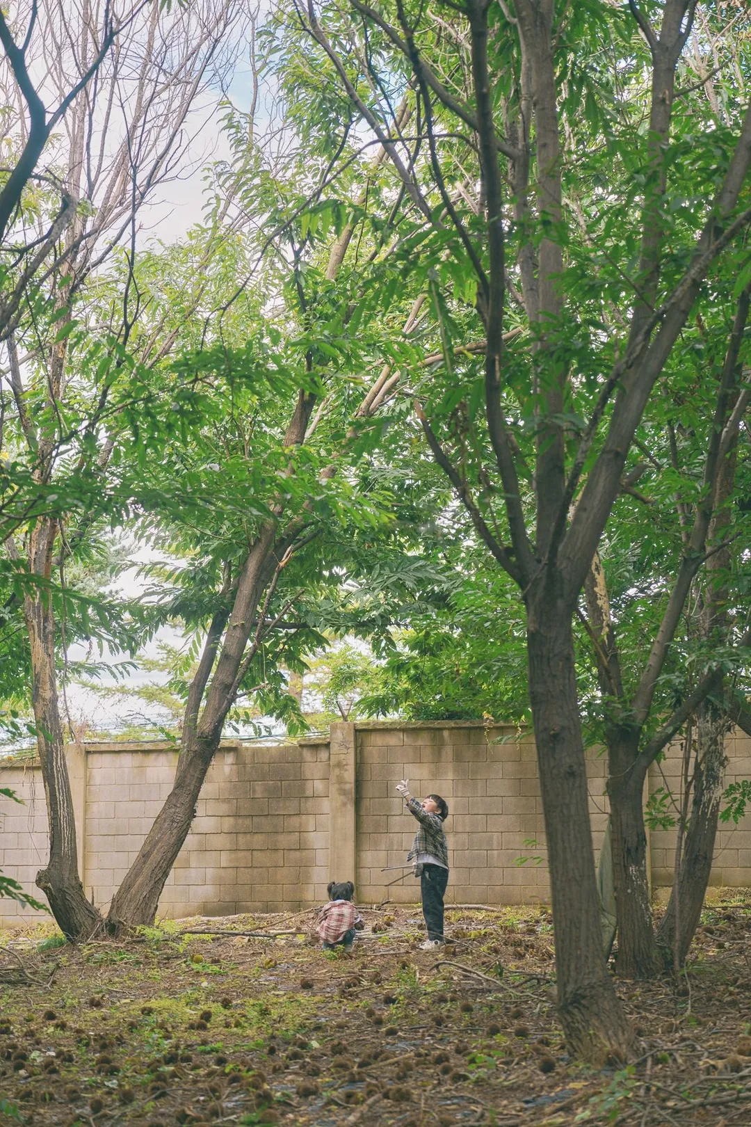 미미림 농업회사법인 사진 15