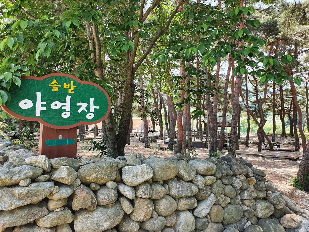 물숲 사진 7