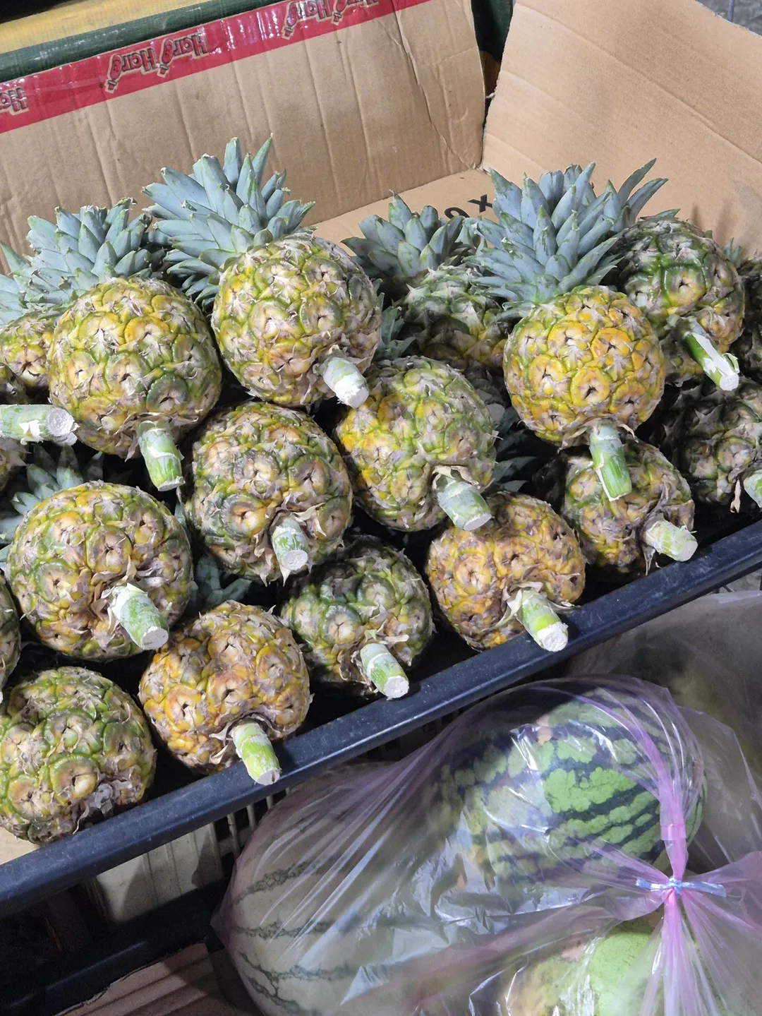 필리피노마켓 사진 7