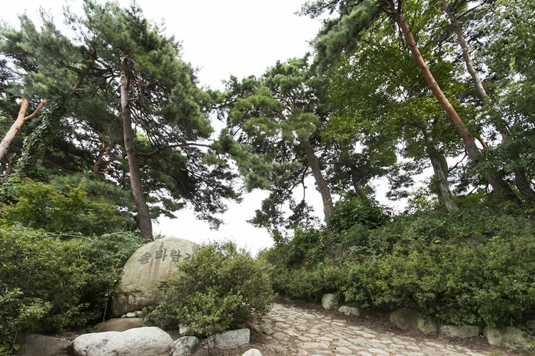 솔다박마을 사진 10