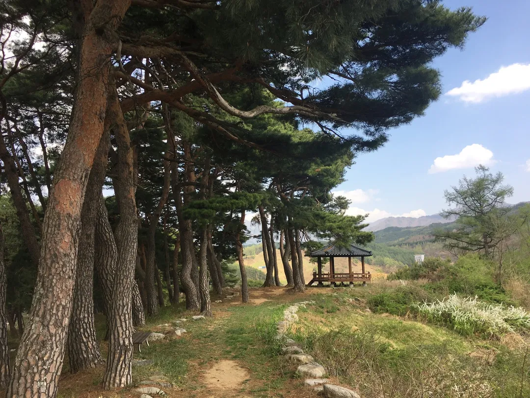 솔다박마을 사진 8