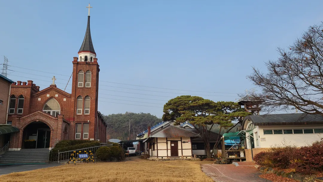 두동편백 사진 8