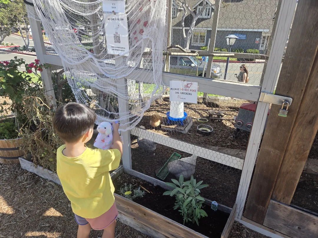 Malibu Farm San Diego