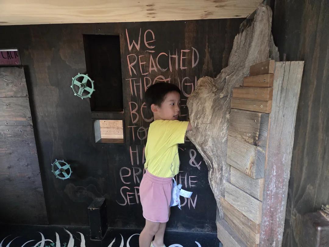 The New Children's Museum