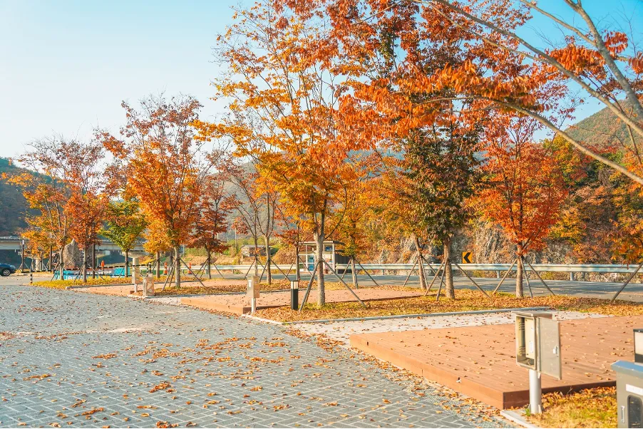 백석탄골부리체험휴양마을 사진 9