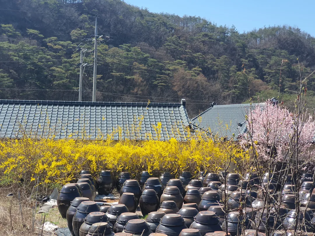 서석지마을 사진 7