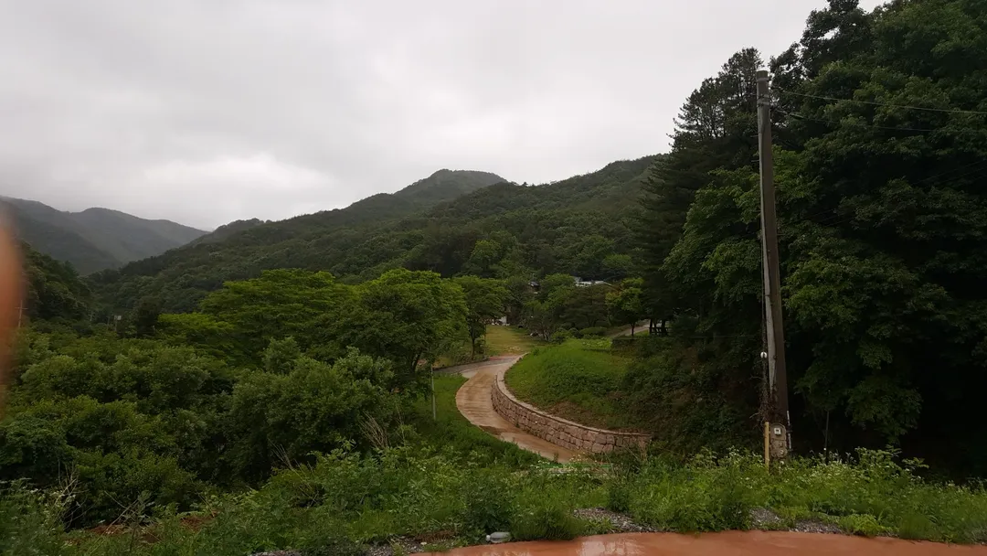 속리산아트힐링센터